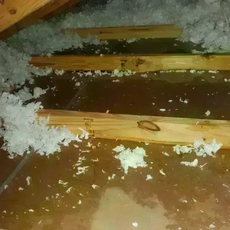 Attic Water Damage in Dexter, NY