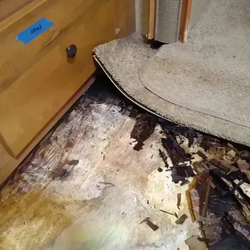 Wood Floor Water Damage in Dexter, NY